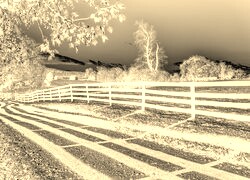 Sepia + Negatyw