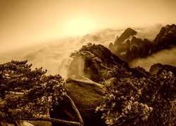 Sepia