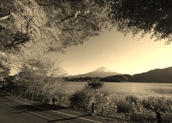 Szary + Sepia