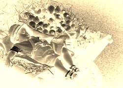 Sepia + Negatyw