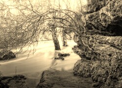 Sepia