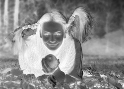 Szary + Negatyw
