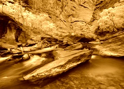 Sepia