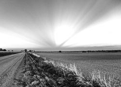 Szary + Sepia