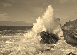 Szary + Sepia