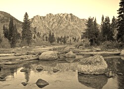 Szary + Sepia