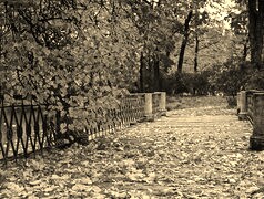 Szary + Sepia