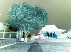 Negatyw