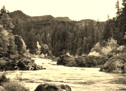 Sepia