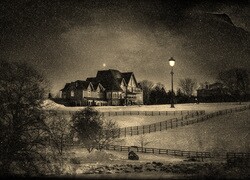 Szary + Sepia