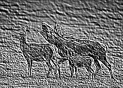 Skamielina