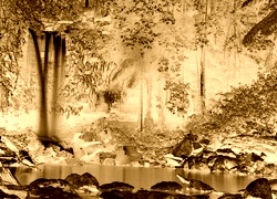 Sepia + Negatyw