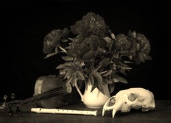 Sepia