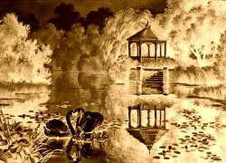Sepia + Negatyw