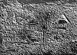 Skamielina