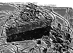 Skamielina