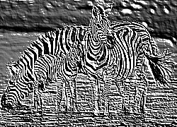 Skamielina