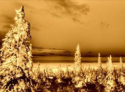 Sepia + Negatyw