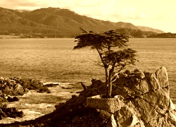 Sepia