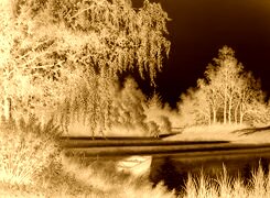Sepia + Negatyw