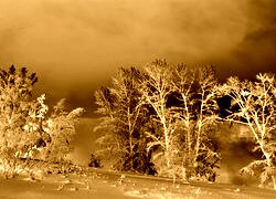 Sepia + Negatyw