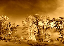 Sepia