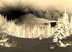 Sepia + Negatyw