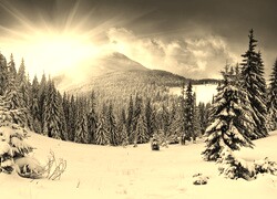 Sepia