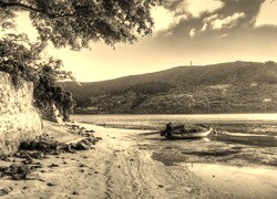 Szary + Sepia
