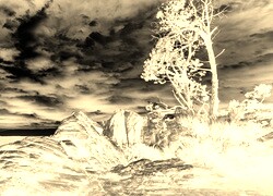 Sepia + Negatyw