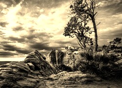 Sepia
