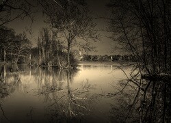 Szary + Sepia