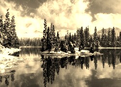 Szary + Sepia