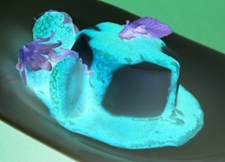Negatyw