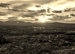 Szary + Sepia