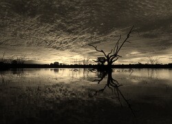 Szary + Sepia