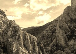 Szary + Sepia