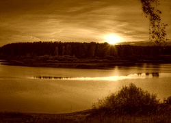 Sepia