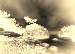 Sepia + Negatyw