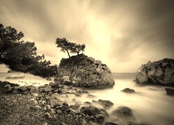Sepia