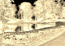 Sepia + Negatyw