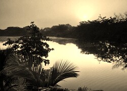 Sepia