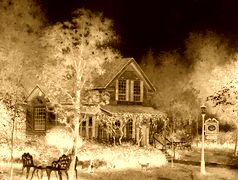 Sepia + Negatyw