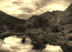 Szary + Sepia