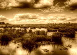 Sepia