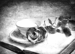 Szary + Sepia