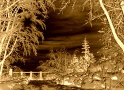 Sepia + Negatyw