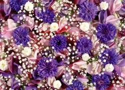 Oryginalny obrazek