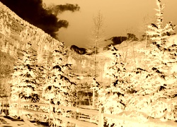 Sepia + Negatyw