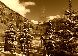 Sepia